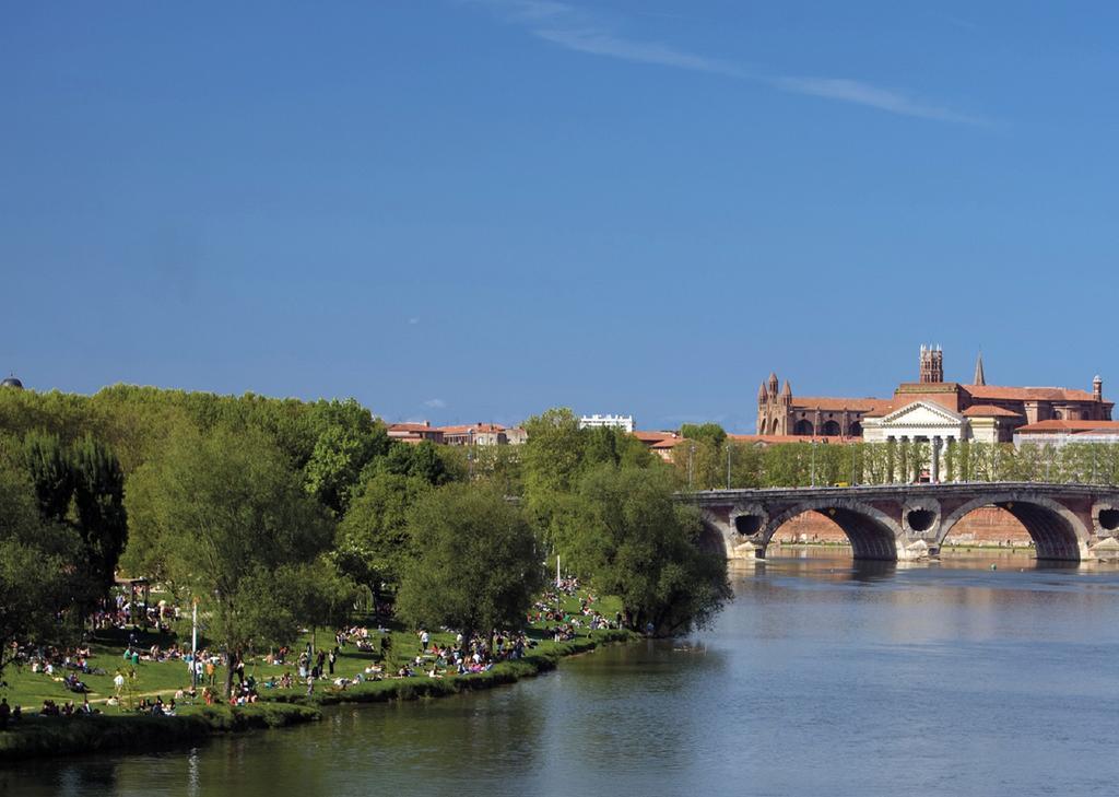 Le Clos Des Violettes Toulouse Ngoại thất bức ảnh